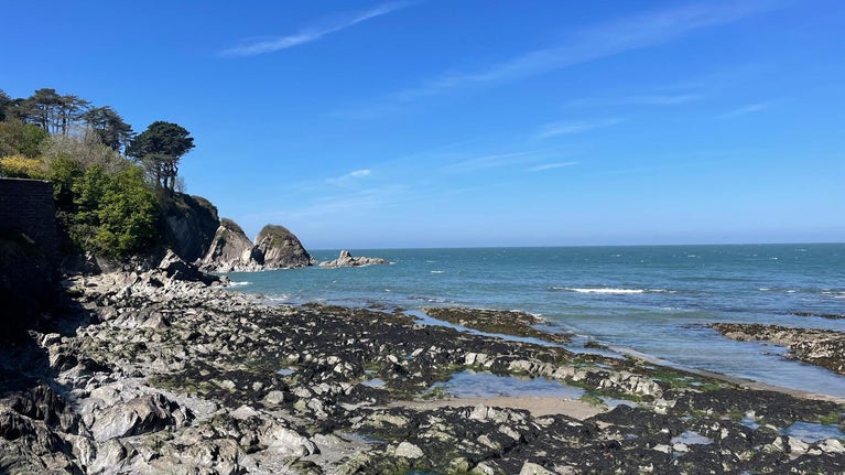 Over looking a bay with a low tide and exposed rockpools on the beach